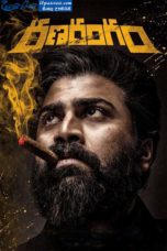 Ranarangam (2019)