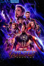 Avengers Endgame (2019)