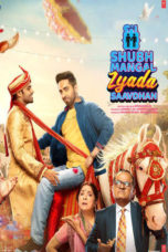 Shubh Mangal Zyada Saavdhan (2020) Sinhala Subtitles