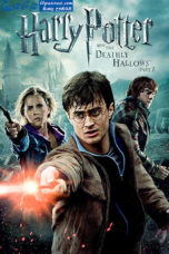 Harry Potter And The Deathly Hallows Part 2 (2011)