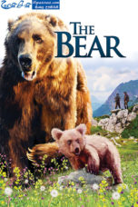 The Bear (1988)