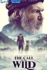 The Call of The Wild (2020) The Call of The Wild (2020)