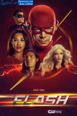 The Flash (2019)