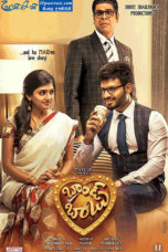 Brand Babu (2018) Brand Babu (2018)