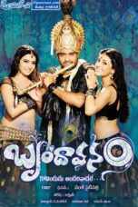 Brindavanam (2010) Brindavanam (2010)