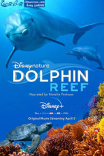 Dolphin Reef (2020) Dolphin Reef (2020)
