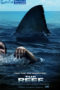 The Reef (2010)