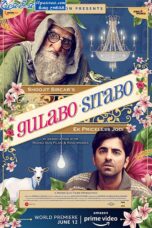 Gulabo Sitabo (2020)