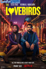 The Lovebirds (2020) The Lovebirds (2020)