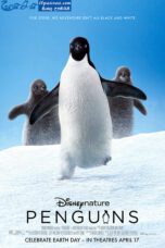 Penguins (2019) Penguins (2019)