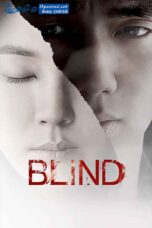 Blind (2011) Sinhala Subtitles Blind (2011) Sinhala Subtitles