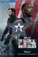 The Falcon and the Winter Soldier 2021 Sinhala Subtitles